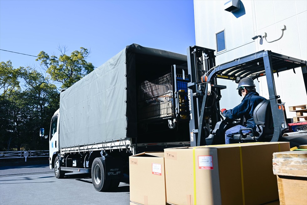 受け入れ（入材）